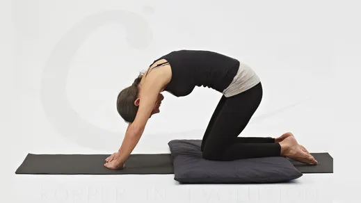 Cantienica® Studio Corinna Buchholz — pilates-studio in Schlachtensee, Berlin — 3