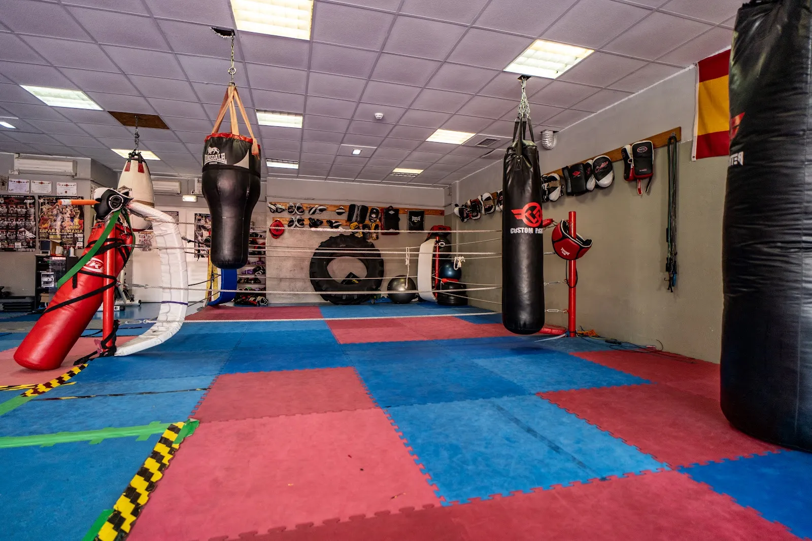 Gimnasio Destroyer Guadalajara — fuerza-studio en Guadalajara — 2