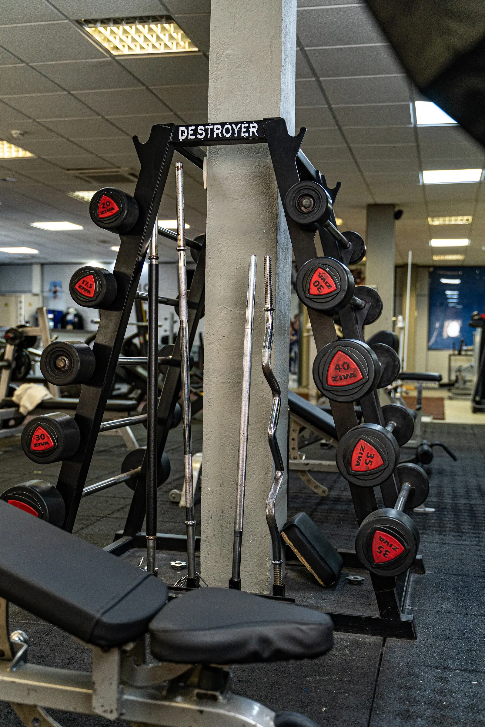 Gimnasio Destroyer Guadalajara — fuerza-studio en Guadalajara — 3