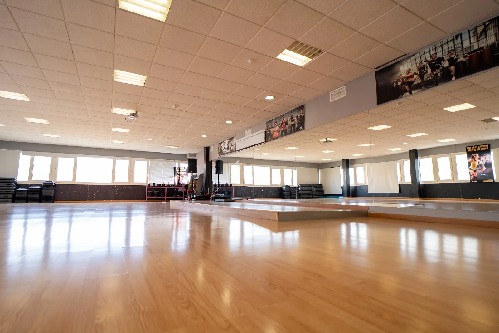 Gimnasio Destroyer Guadalajara — fuerza-studio en Guadalajara — 3