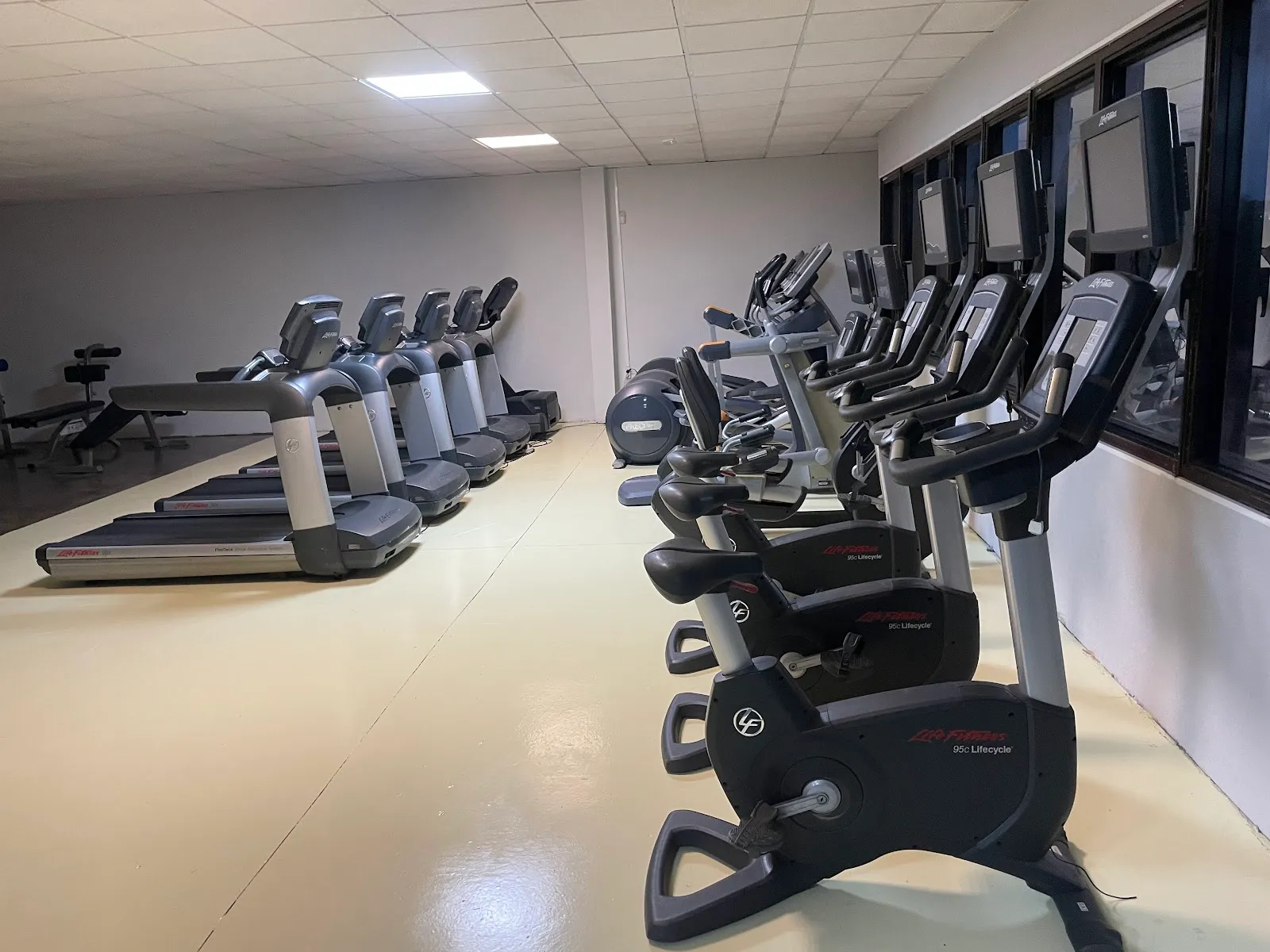 Gimnasio Destroyer Guadalajara — fuerza-studio en Guadalajara — 4