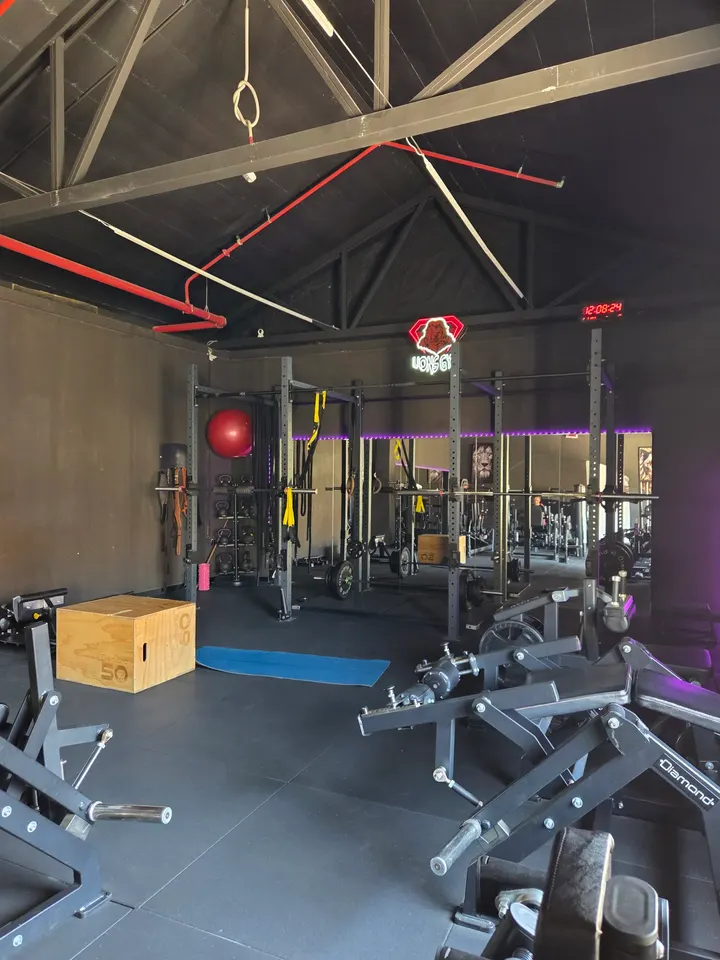 Lions Gym — palestre-studio a Civita Castellana — 3