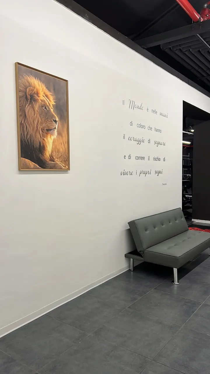 Lions Gym — palestre-studio a Civita Castellana — 4