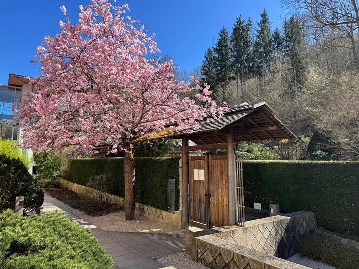 Benediktushof — meditation-studio in Holzkirchen — 2