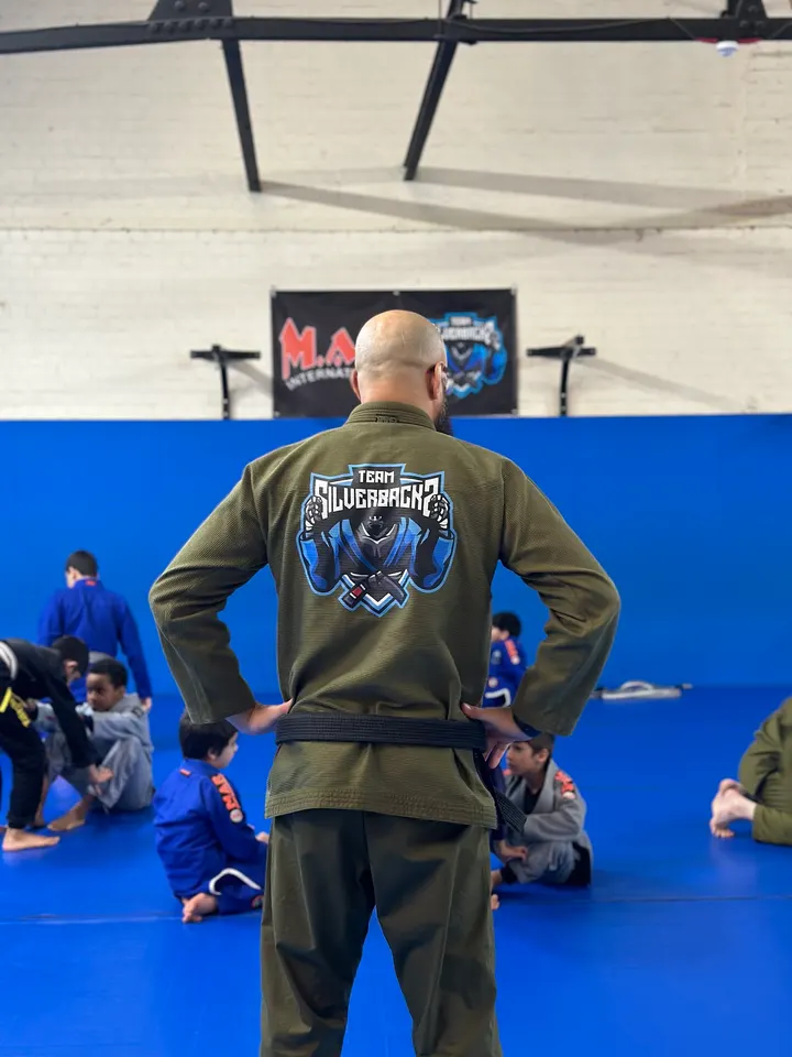 Silverbacks martial arts centre — martial arts-studio in Birmingham — 3