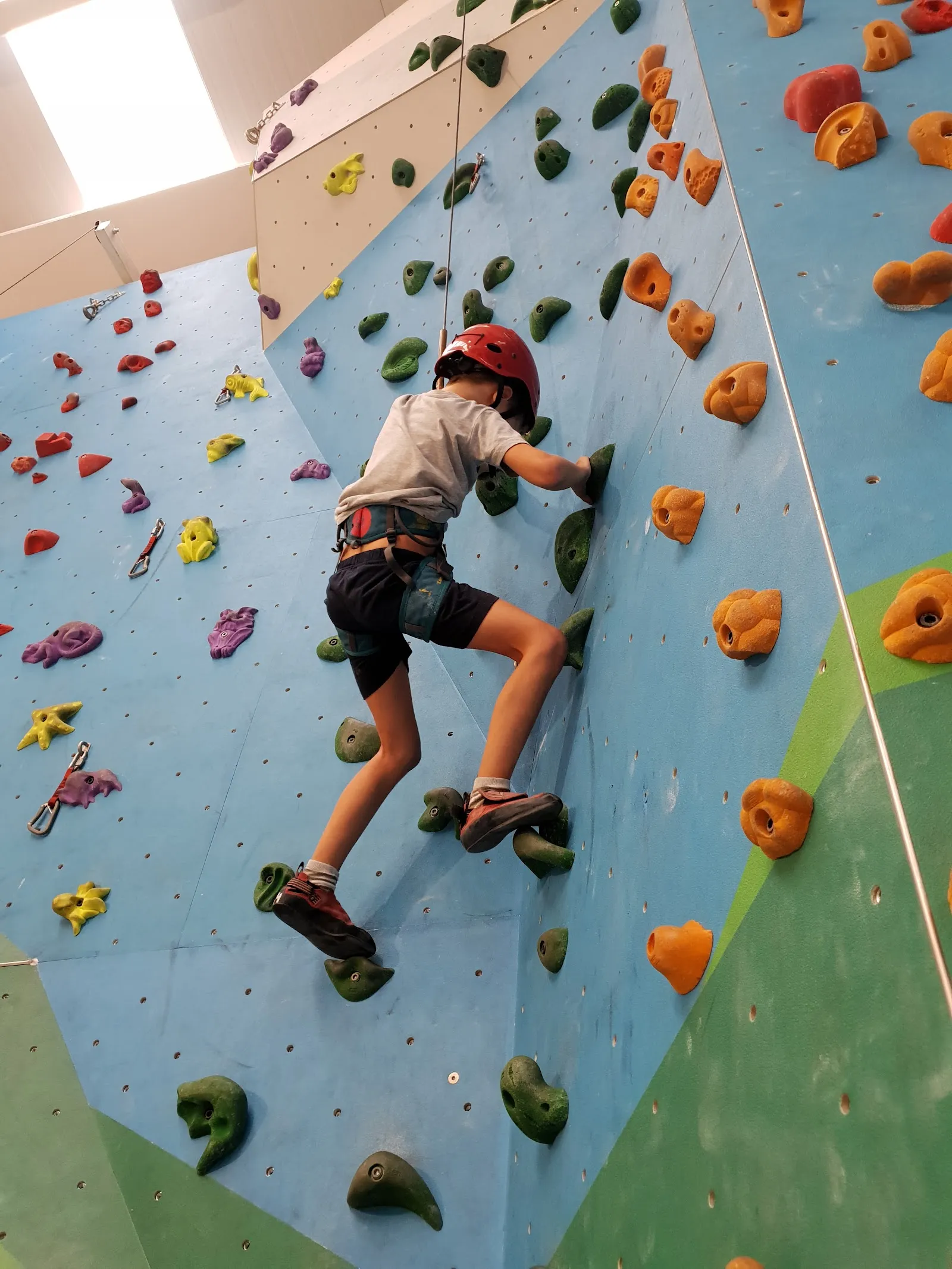 Indoorwall Hospitalet — boulder-studio en L'Hospitalet de Llobregat — 3