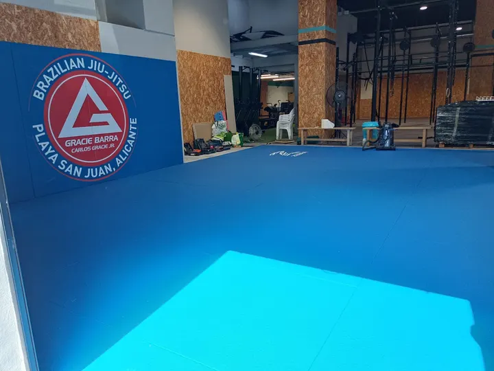 Gracie Barra Playa San Juan — bjj-studio en Alicante — 4