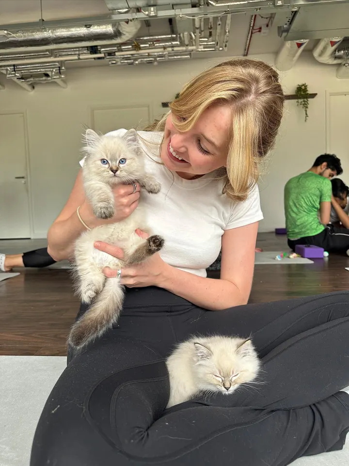 Kitty Yoga London — Wellness in Loughborough