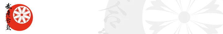 Aikido Academy Norrköping — martial arts-studio i Klockaretorpet, Norrköping