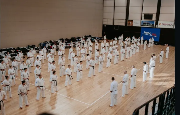 Kyokushin Karate Dojo — artes marciales-studio en La Laguna — 3
