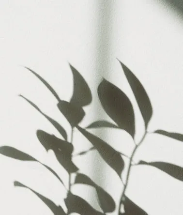 Nexus remedial massage & Sol studio — wellness-studio i Frederiksberg — bild 3
