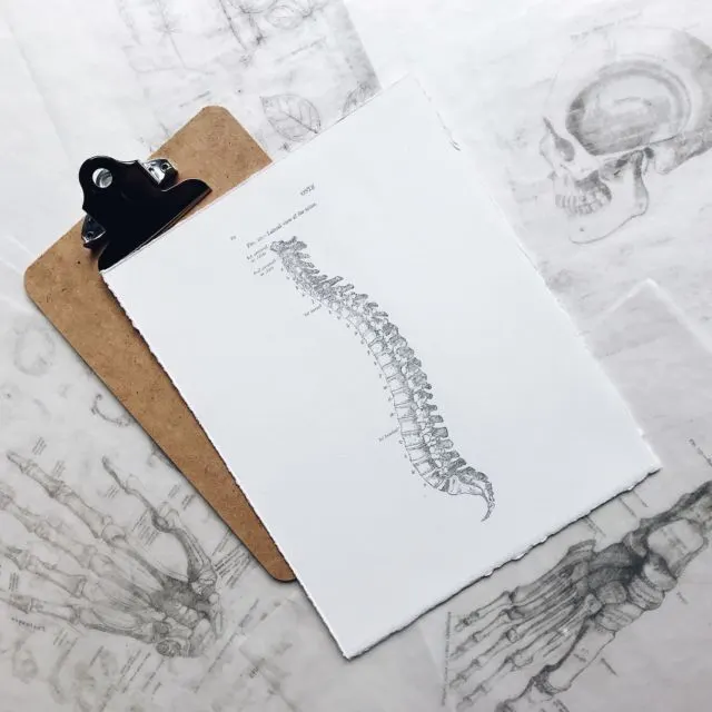 L'Envol des Pas D'animation Curial — danse-studio à Paris — 5