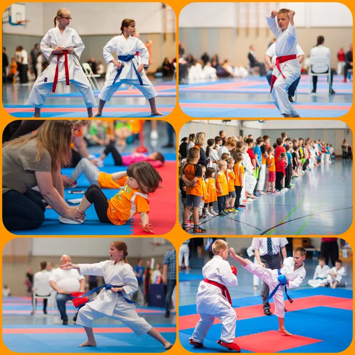 Wado Karate Team Sachsen-Anhalt e.V. — Fitnessstudio in Lutherplatz/Thüringer Bahnhof, Halle (Saale)