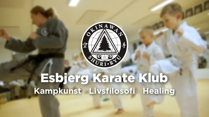 Esbjerg Karate Klub — martial arts-studio i Rørkjær, Esbjerg