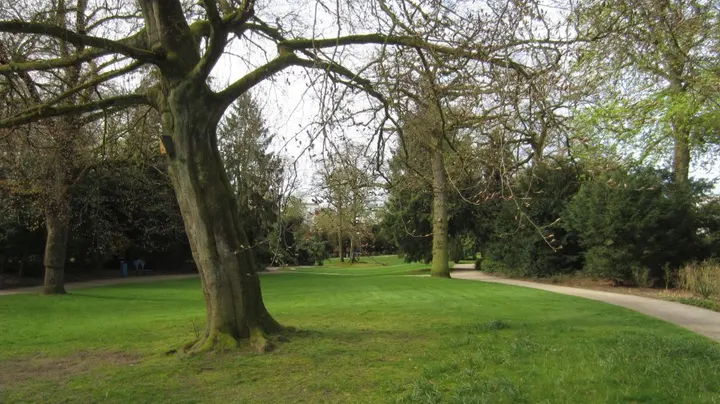 Yoga Studio Zeist — Yoga in Zeist