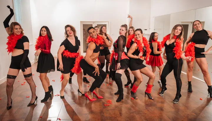 Paaldansstudio & Dance Centre Reigerstraat 22 — Dans in Centrum, Breda