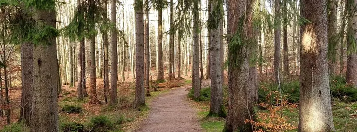 Stresshantering i Kungsbacka — meditation-studio i Kungsbacka — 4