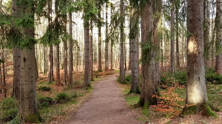 Stresshantering i Kungsbacka — wellness-studio i Södra Hammerö, Kungsbacka