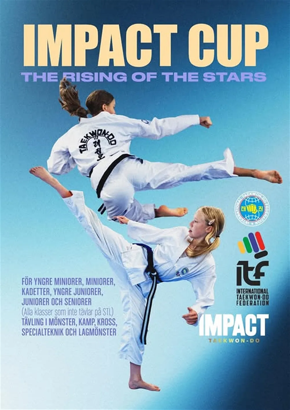 IF Flen TAEKWON-DO — kampsport-studio i flen — bild 3