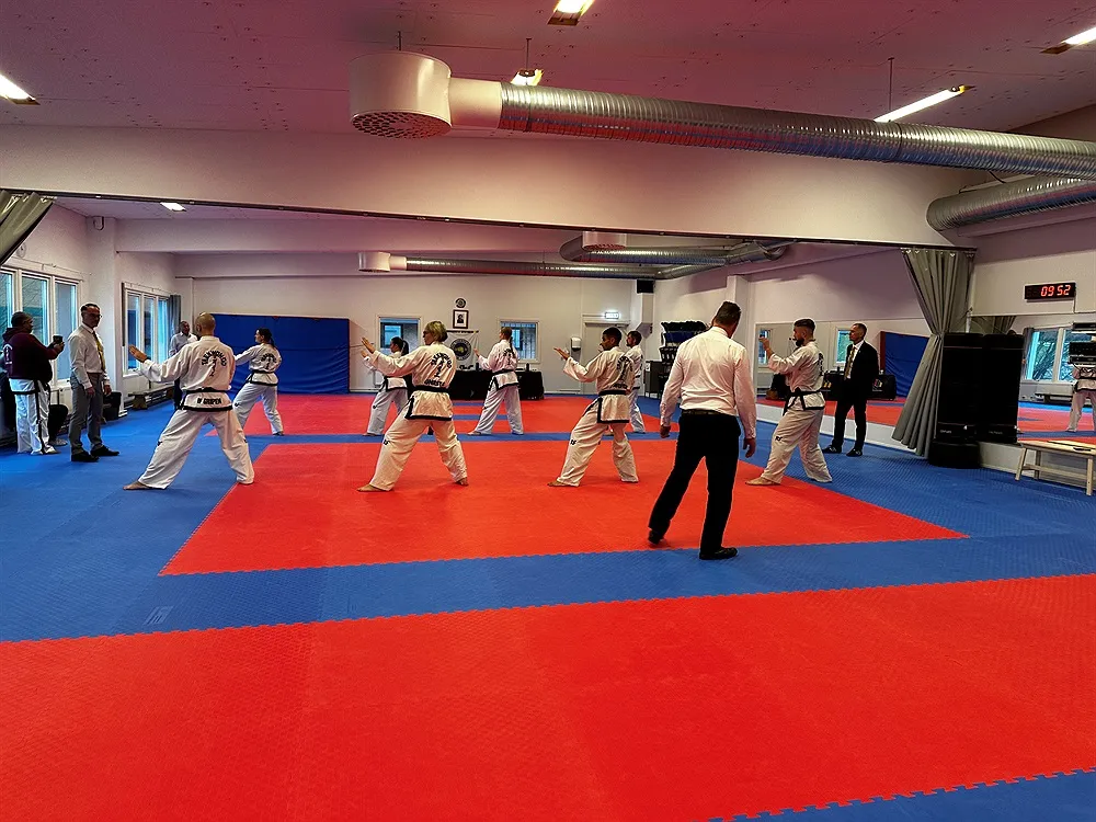 IF Flen TAEKWON-DO — kampsport-studio i flen — bild 3