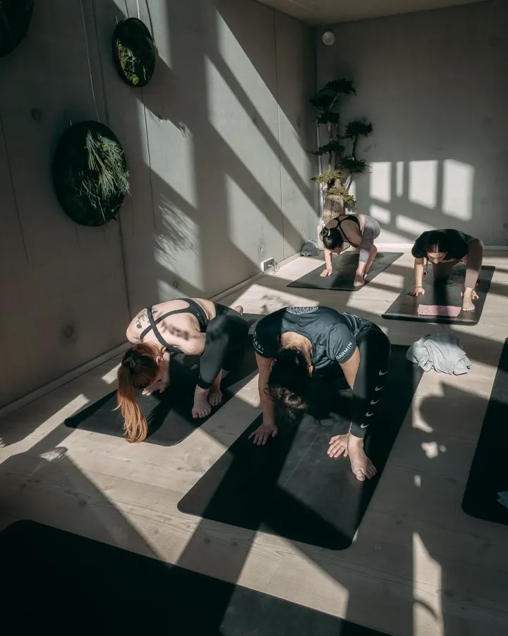 Ali Yoga v/ Alina Kachan — yoga-studio i København — 3