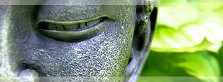 Budadharma — meditação-studio em Campo Pequeno, Lisboa — 3