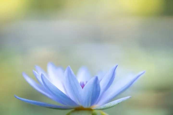 Budadharma — Breathwork em Campo Pequeno, Lisboa