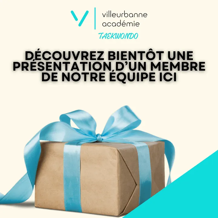 Taekwondo Villeurbanne Academie — Arts martiaux à Les Brosses, Villeurbanne