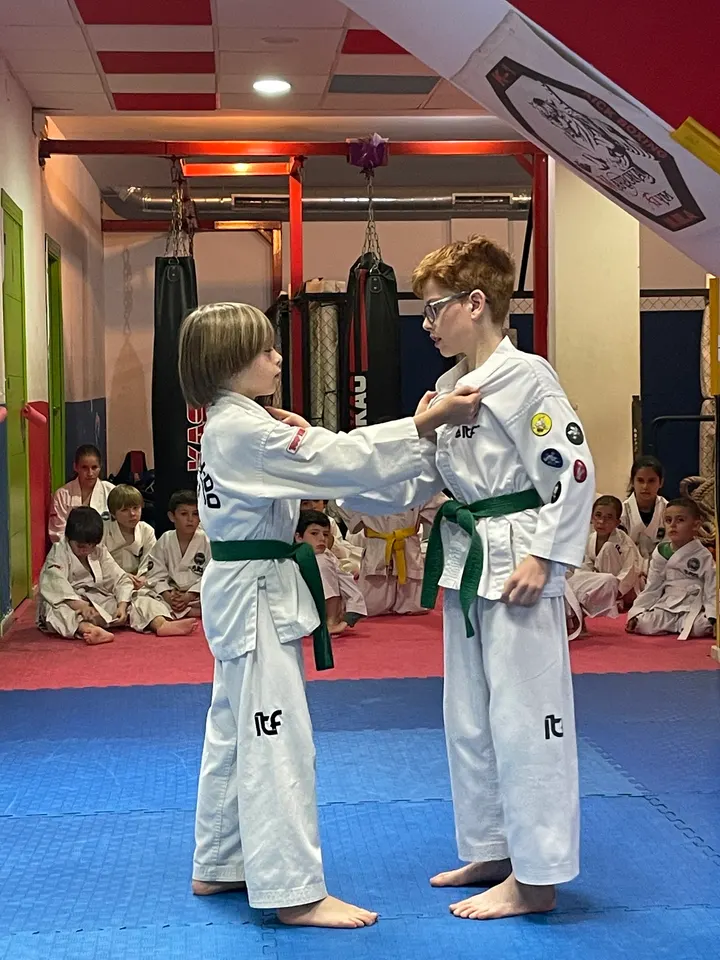 Club Taekwon-Do TKDPRO — Artes marciales en Fuengirola