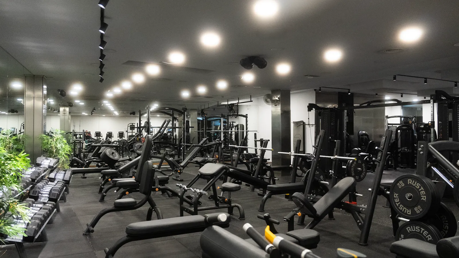 Gimnasio Newfit — estudio de fitness-studio en Dos Hermanas — 2
