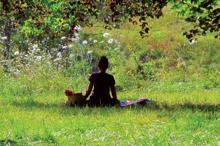 Méditation MBSR — méditation-studio à Montpellier — 4
