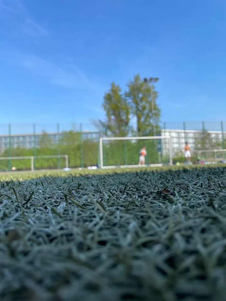 Trainingsspot Neues Ufer — calisthenics-studio in Berlin — 4