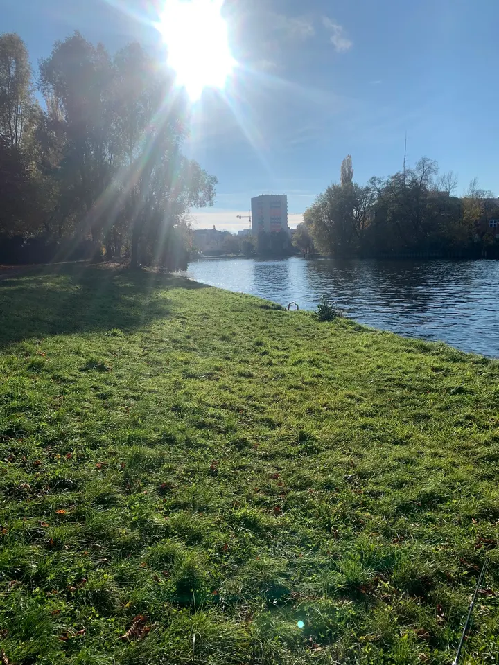 Trainingsspot Neues Ufer — calisthenics-studio in Berlin — 5