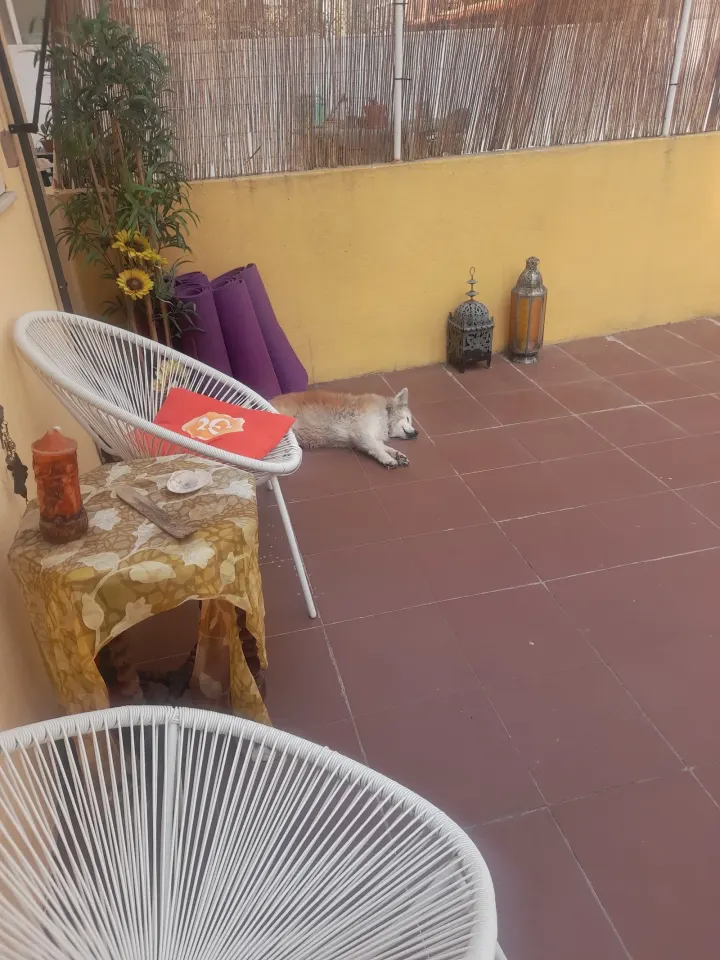 Padma Yoga — yoga-studio em Anjos, Lisboa — 2