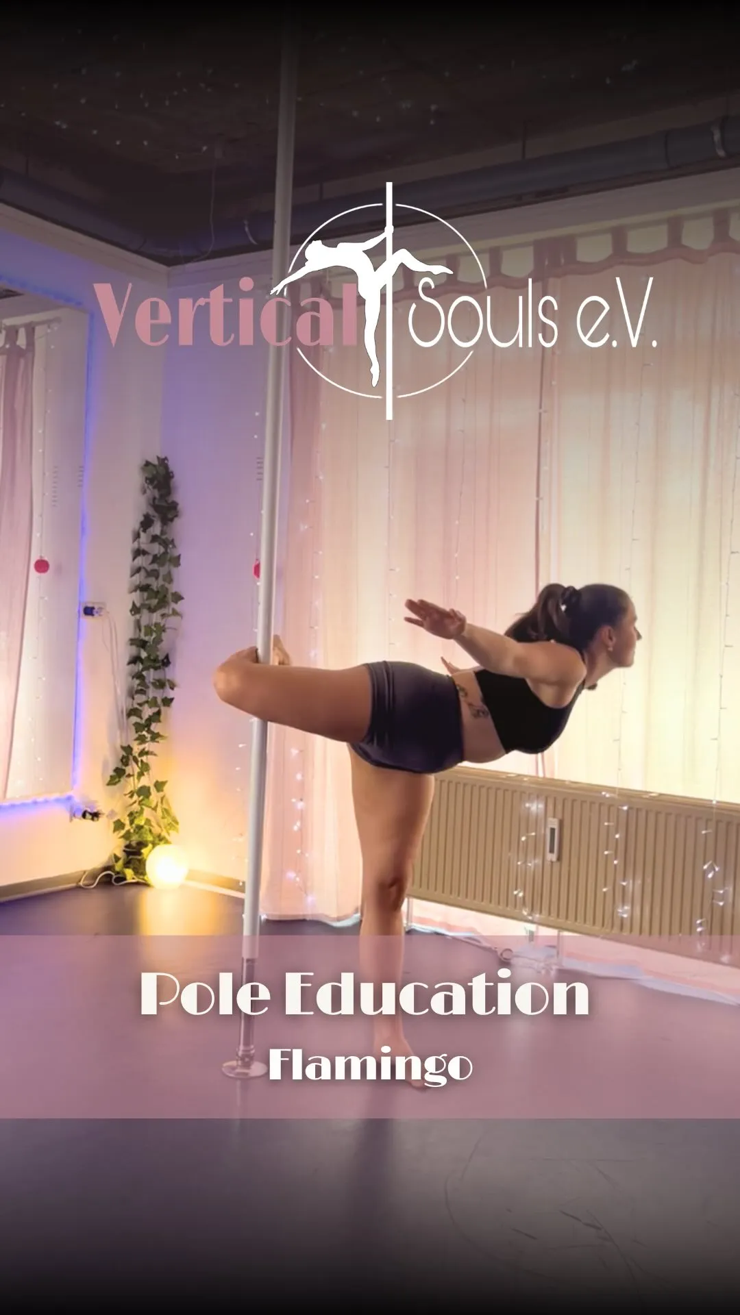 Vertical Souls e.V. — pole fitness-studio i Hannover — 2