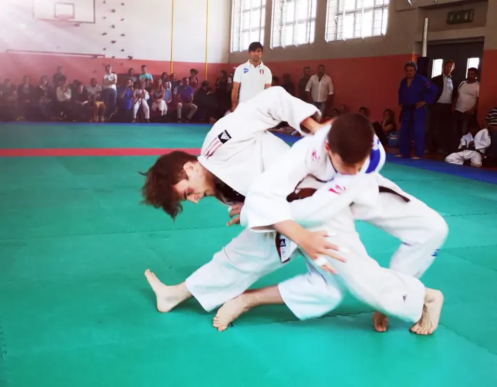 Palestra Crono Sport Torino — arti marziali-studio a Basse di Mirafiori, Torino — 2
