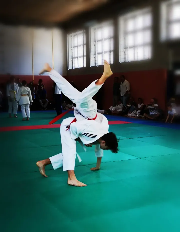 Palestra Crono Sport Torino — arti marziali-studio a Basse di Mirafiori, Torino — 3