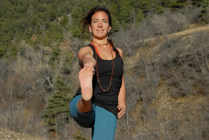 Alpes Yoga Iyengar — yoga-studio à Eygliers — 3