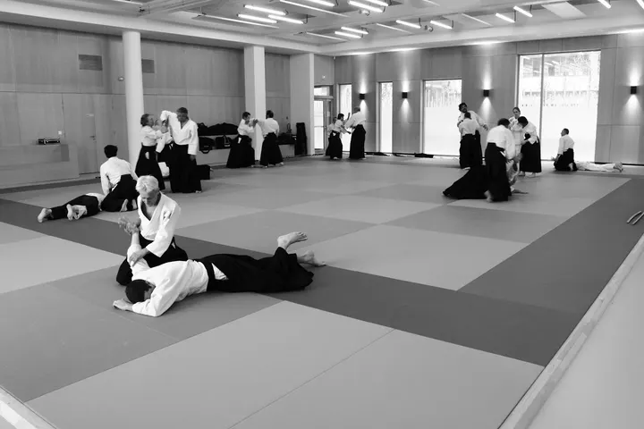 Unsui Dojo Aïkido Confluence aux fleurs — arts martiaux-studio à Lyon 2e Arrondissement, Lyon — 2