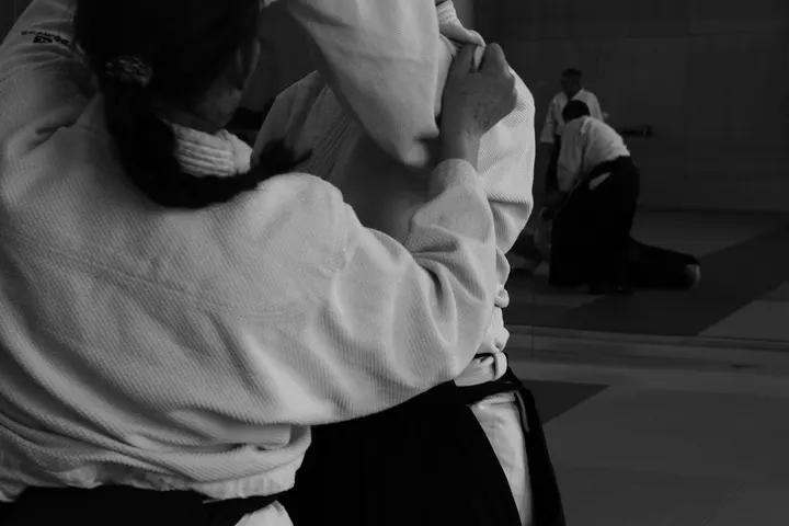 Unsui Dojo Aïkido Confluence aux fleurs — arts martiaux-studio à Lyon 2e Arrondissement, Lyon — 3