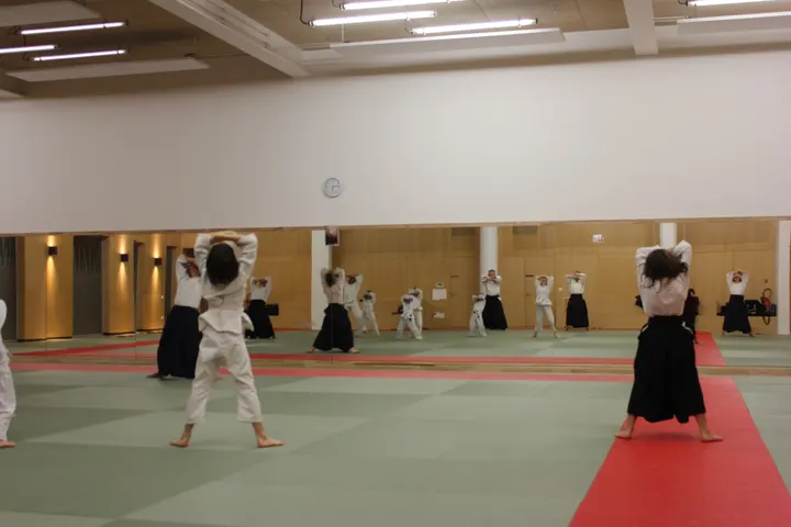 Unsui Dojo Aïkido Confluence aux fleurs — arts martiaux-studio à Lyon — 4