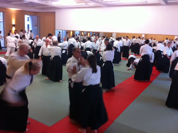 Unsui Dojo Aïkido Confluence aux fleurs — arts martiaux-studio à Lyon — 5