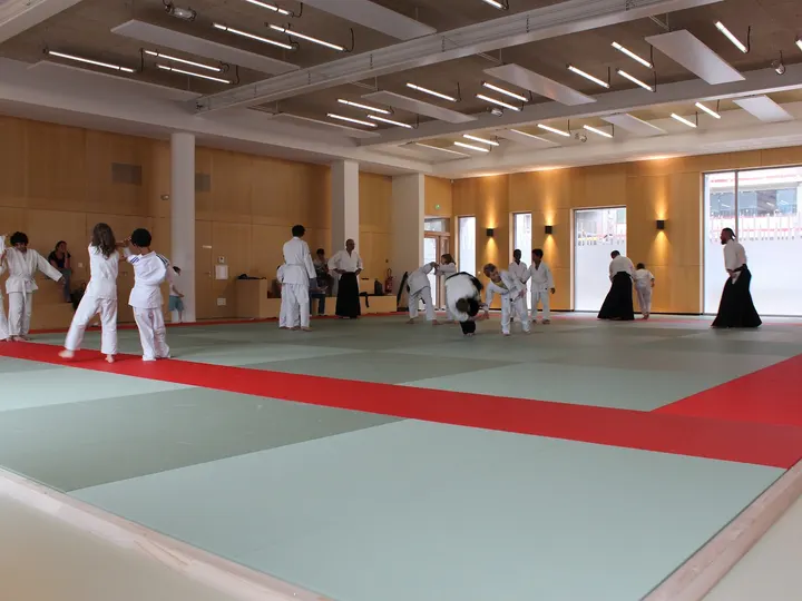 Unsui Dojo Aïkido Confluence aux fleurs — Arts martiaux à Lyon 2e Arrondissement, Lyon