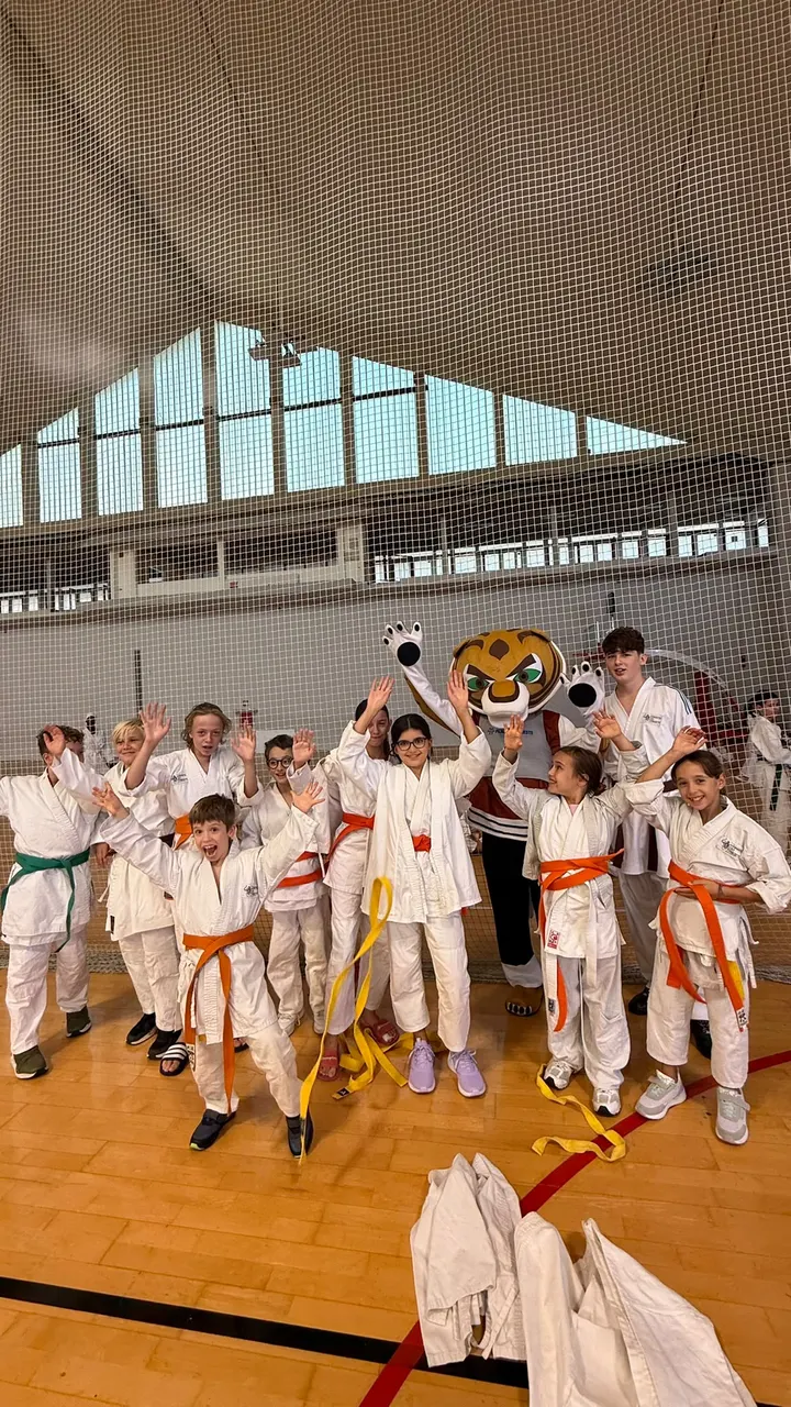 A.S.D. Dojo Trieste — arti marziali-studio a Trieste — 3