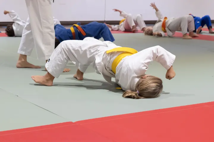 A.S.D. Dojo Trieste — arti marziali-studio a Trieste — 4