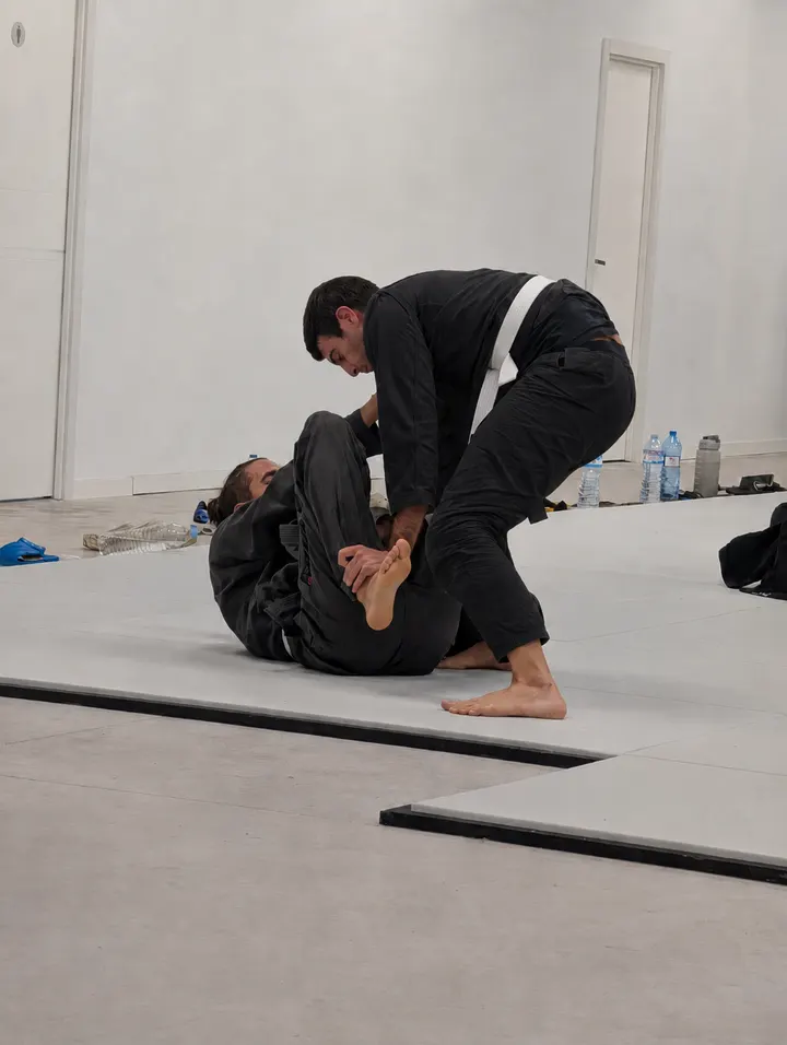 AC Jiu Jitsu Academy - Alicante — artes marciales-studio en Alicante — 3