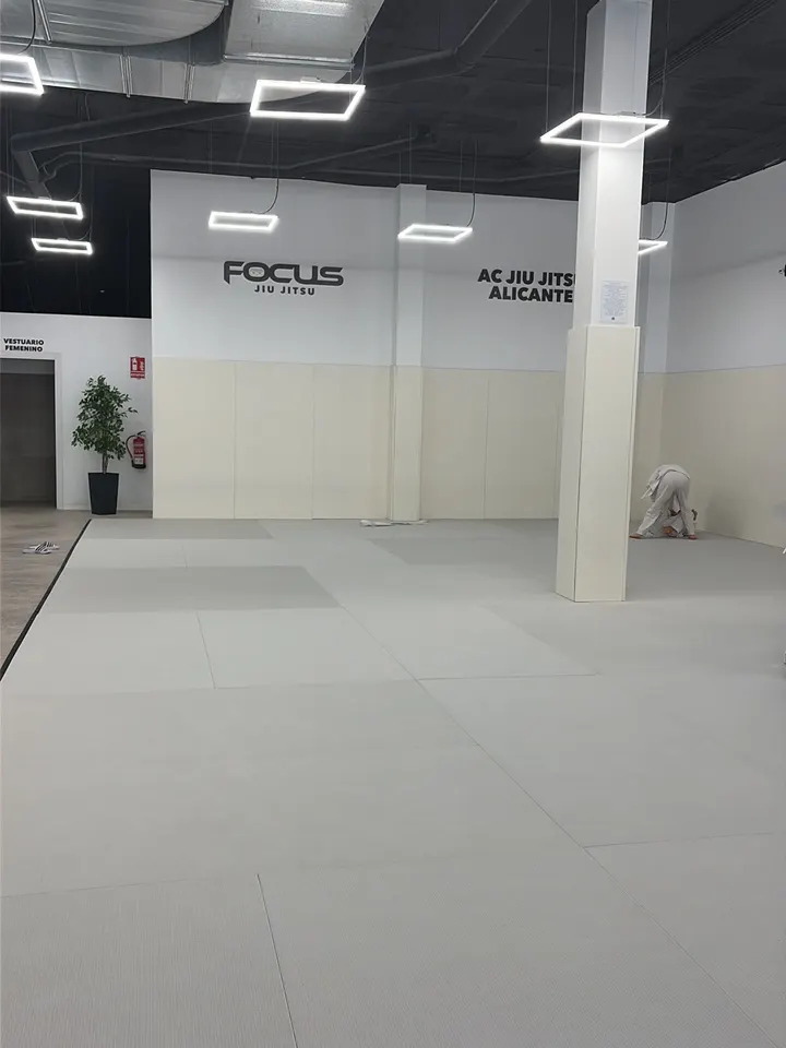 AC Jiu Jitsu Academy - Alicante — artes marciales-studio en Alicante — 4