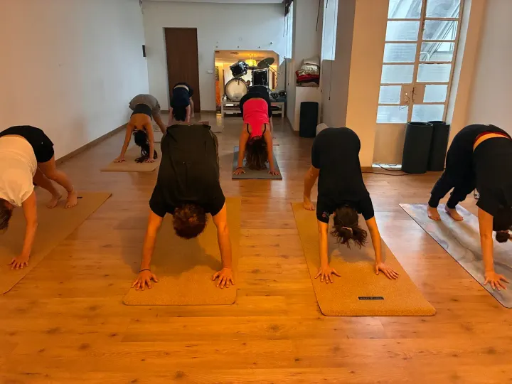 YANTRA Centro Holístico . — yoga-studio em Cedofeita, Porto — 2
