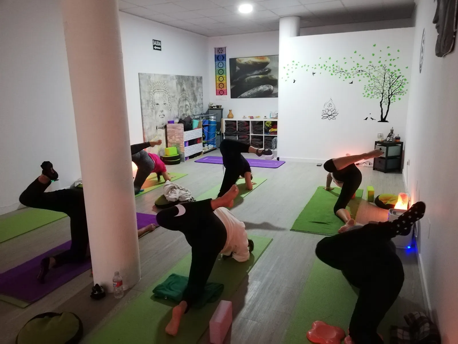 Asociación Enoko — yoga-studio en Puertollano — 2