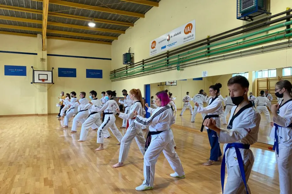 Federación de Taekwondo de Castilla y León — kampsport-studio i Villa del Prado, Valladolid — bild 3